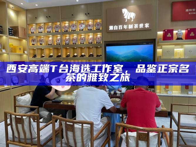 西安高端海选工作室，2026年超值团购套餐，尽享奢华茶文化之旅