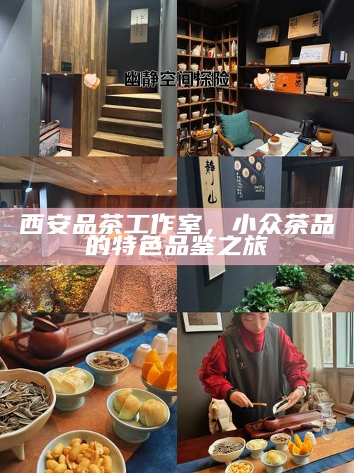 西安品茶工作室，小众茶品的特色品鉴之旅