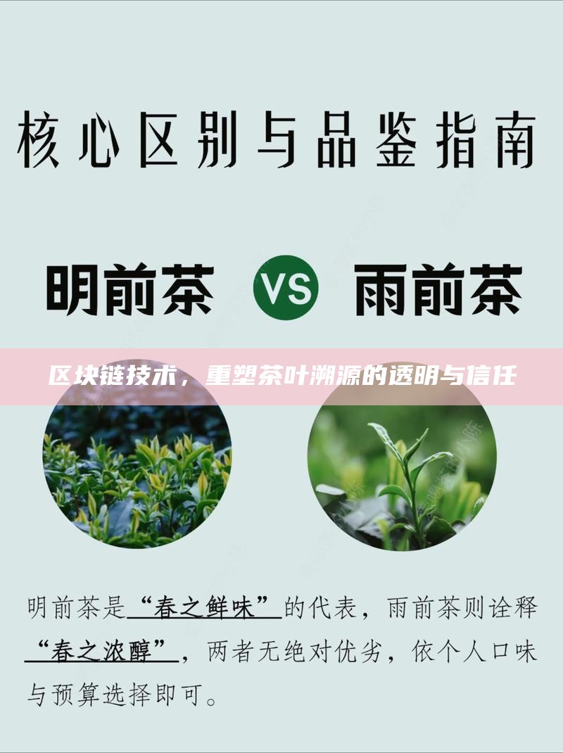 区块链技术，重塑茶叶溯源的透明与信任